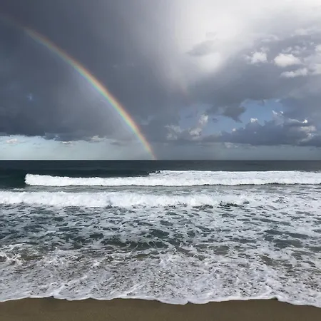 Bel Proche De La * モンティセロ