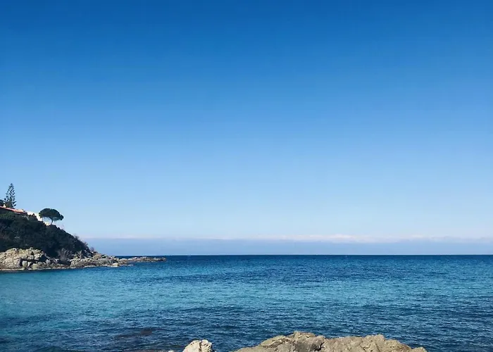 Bel Proche De La Monticello