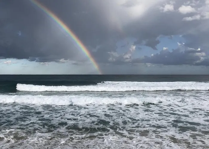 Bel Proche De La * Monticello